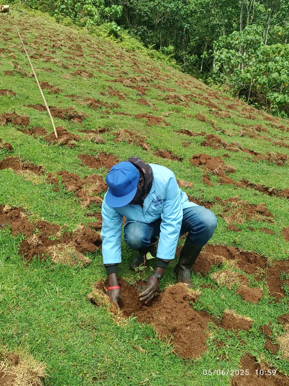 OMWASCO Participates in Tree Planting Initiative to Protect Water Catchment Areas